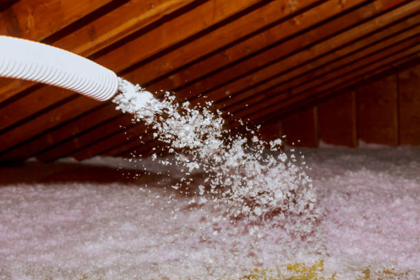 Best Cellulose Insulation in Kapn, LA